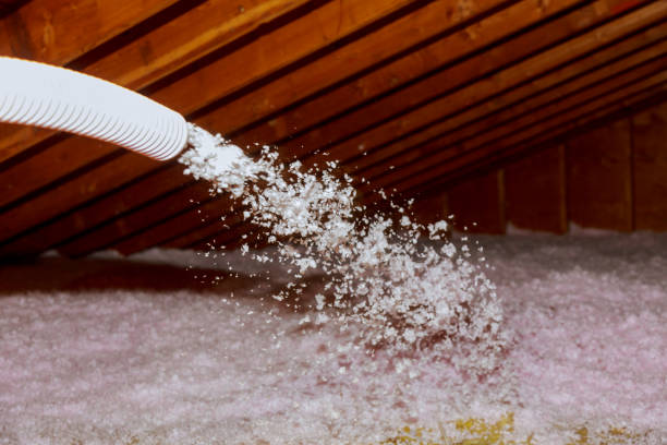Best Commercial Insulation in Broxton, GA