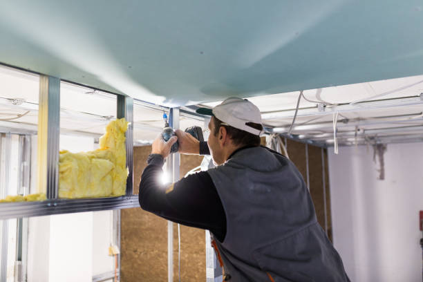 Best Insulation Maintenance and Repair in Broxton, GA